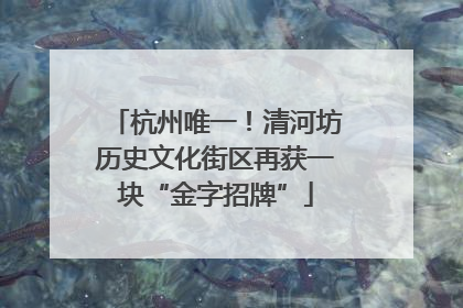 杭州唯一！清河坊历史文化街区再获一块“金字招牌”