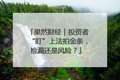 果然财经｜投资者“盯”上法拍金条，捡漏还是风险？