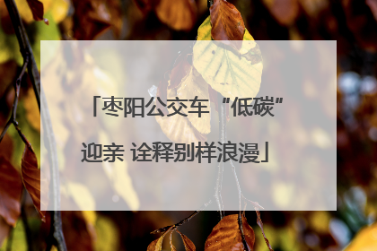 枣阳公交车“低碳”迎亲 诠释别样浪漫