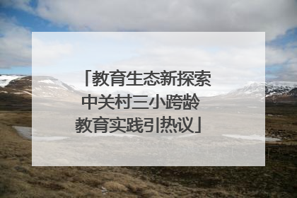 教育生态新探索 中关村三小跨龄教育实践引热议