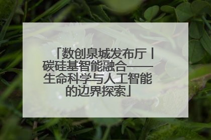 数创泉城发布厅丨碳硅基智能融合——生命科学与人工智能的边界探索