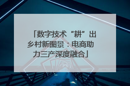 数字技术“耕”出乡村新图景：电商助力三产深度融合