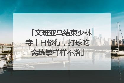 文班亚马结束少林寺十日修行，打球吃斋练拳样样不落
