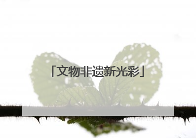 文物非遗新光彩
