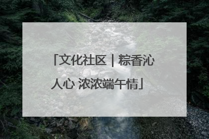 文化社区｜粽香沁人心 浓浓端午情
