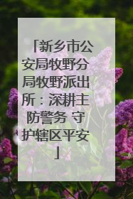 新乡市公安局牧野分局牧野派出所：深耕主防警务 守护辖区平安