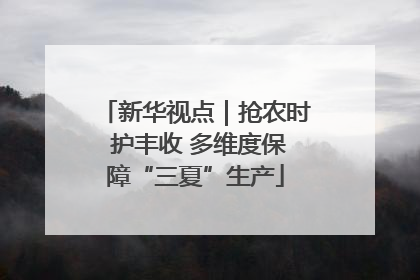新华视点｜抢农时 护丰收 多维度保障“三夏”生产