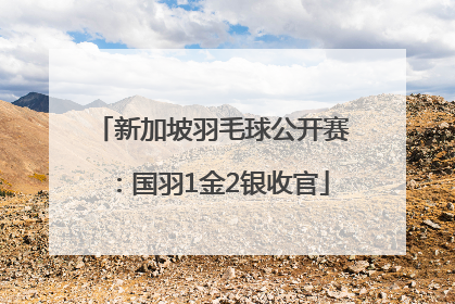 新加坡羽毛球公开赛：国羽1金2银收官