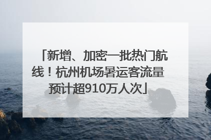 新增、加密一批热门航线！杭州机场暑运客流量预计超910万人次