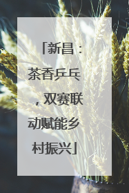 新昌：茶香乒乓，双赛联动赋能乡村振兴