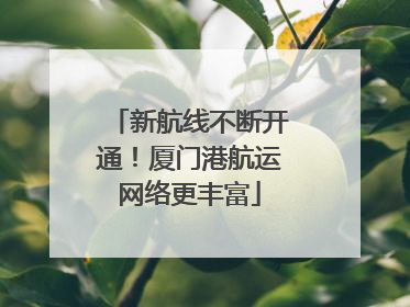新航线不断开通！厦门港航运网络更丰富