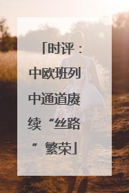 时评：中欧班列中通道赓续“丝路”繁荣
