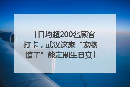 日均超200名顾客打卡，武汉这家“宠物馆子”能定制生日宴