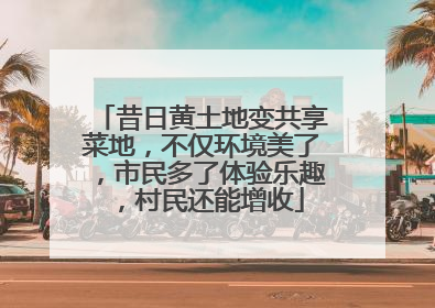 昔日黄土地变共享菜地，不仅环境美了，市民多了体验乐趣，村民还能增收