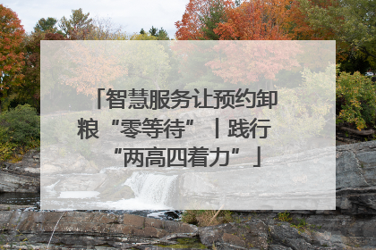 智慧服务让预约卸粮“零等待”丨践行“两高四着力”