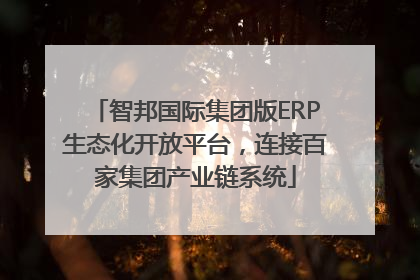 智邦国际集团版ERP生态化开放平台，连接百家集团产业链系统