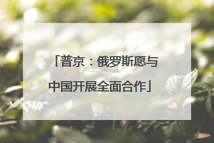 普京：俄罗斯愿与中国开展全面合作