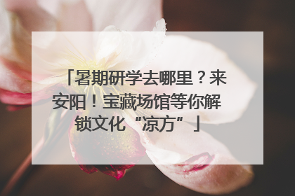 暑期研学去哪里？来安阳！宝藏场馆等你解锁文化“凉方”