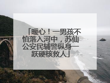 暖心！一男孩不慎落入河中，苏仙公安民辅警纵身一跃硬核救人