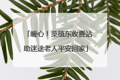 暖心！桑植东收费站助迷途老人平安回家