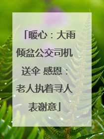 暖心：大雨倾盆公交司机送伞 感恩：老人执着寻人表谢意