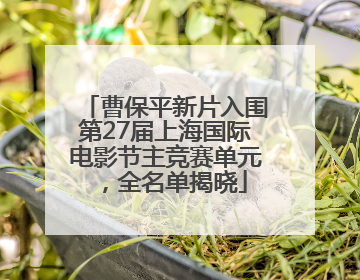 曹保平新片入围第27届上海国际电影节主竞赛单元，全名单揭晓