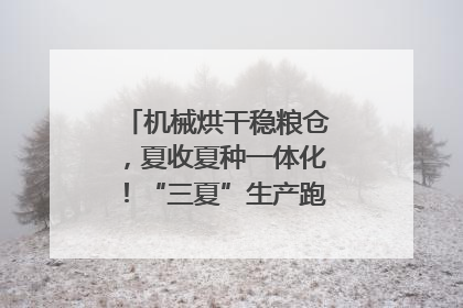 机械烘干稳粮仓，夏收夏种一体化！“三夏”生产跑出加速度｜麦报