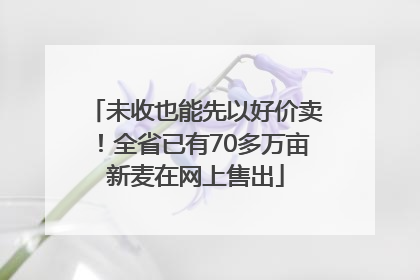 未收也能先以好价卖！全省已有70多万亩新麦在网上售出