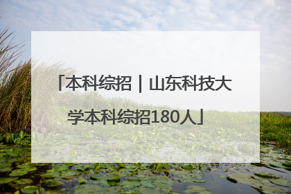 本科综招｜山东科技大学本科综招180人