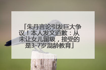 朱丹言论引发巨大争议！本人发文道歉：从未让女儿留级，接受的是3-7岁混龄教育