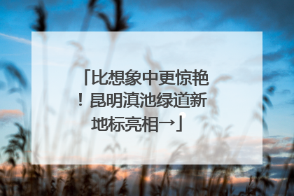 比想象中更惊艳！昆明滇池绿道新地标亮相→