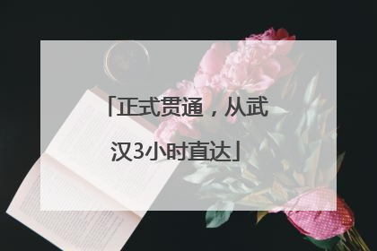 正式贯通，从武汉3小时直达