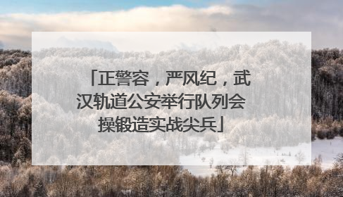 正警容，严风纪，武汉轨道公安举行队列会操锻造实战尖兵