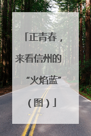 正青春，来看信州的“火焰蓝”（图）