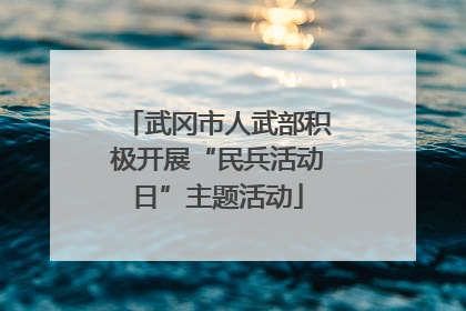 武冈市人武部积极开展“民兵活动日”主题活动