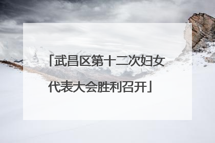 武昌区第十二次妇女代表大会胜利召开
