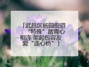 武昌区杨园街道：“特殊”踏青心相连 架起包容友爱“连心桥”