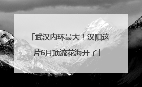 武汉内环最大！汉阳这片6月顶流花海开了