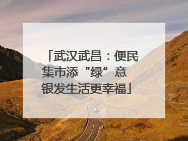 武汉武昌：便民集市添“绿”意 银发生活更幸福