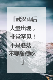 武汉雨后大量出现，非常罕见！不是蘑菇，不要随便吃