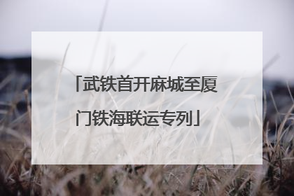 武铁首开麻城至厦门铁海联运专列