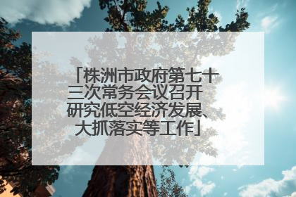 株洲市政府第七十三次常务会议召开 研究低空经济发展、大抓落实等工作