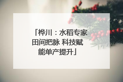 桦川：水稻专家田间把脉 科技赋能单产提升