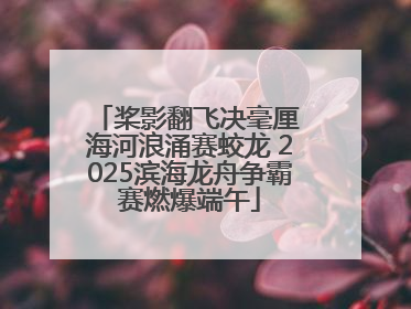 桨影翻飞决毫厘 海河浪涌赛蛟龙 2025滨海龙舟争霸赛燃爆端午