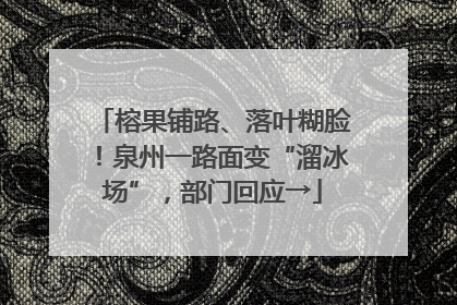 榕果铺路、落叶糊脸！泉州一路面变“溜冰场”，部门回应→