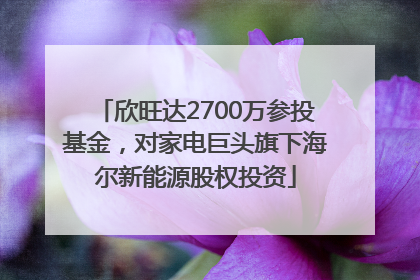 欣旺达2700万参投基金，对家电巨头旗下海尔新能源股权投资
