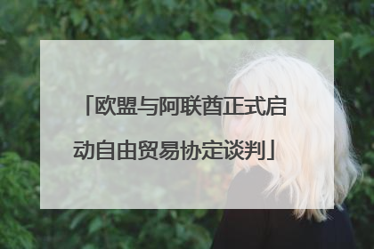 欧盟与阿联酋正式启动自由贸易协定谈判