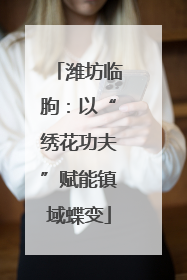 潍坊临朐：以“绣花功夫”赋能镇域蝶变