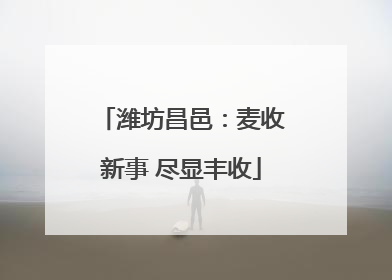 潍坊昌邑：麦收新事 尽显丰收