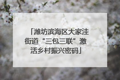 潍坊滨海区大家洼街道“三包三联”激活乡村振兴密码